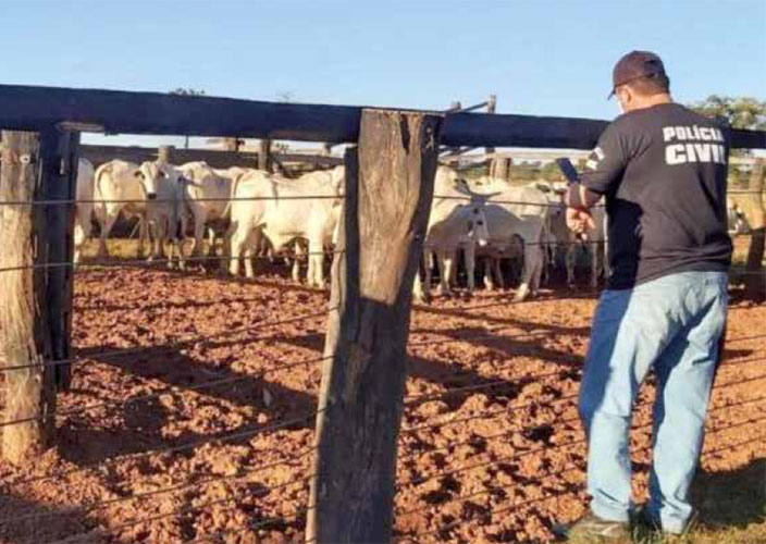 AGRONEGÓCIO ENFRENTA ROUBOS E FURTOS NO MEIO RURAL