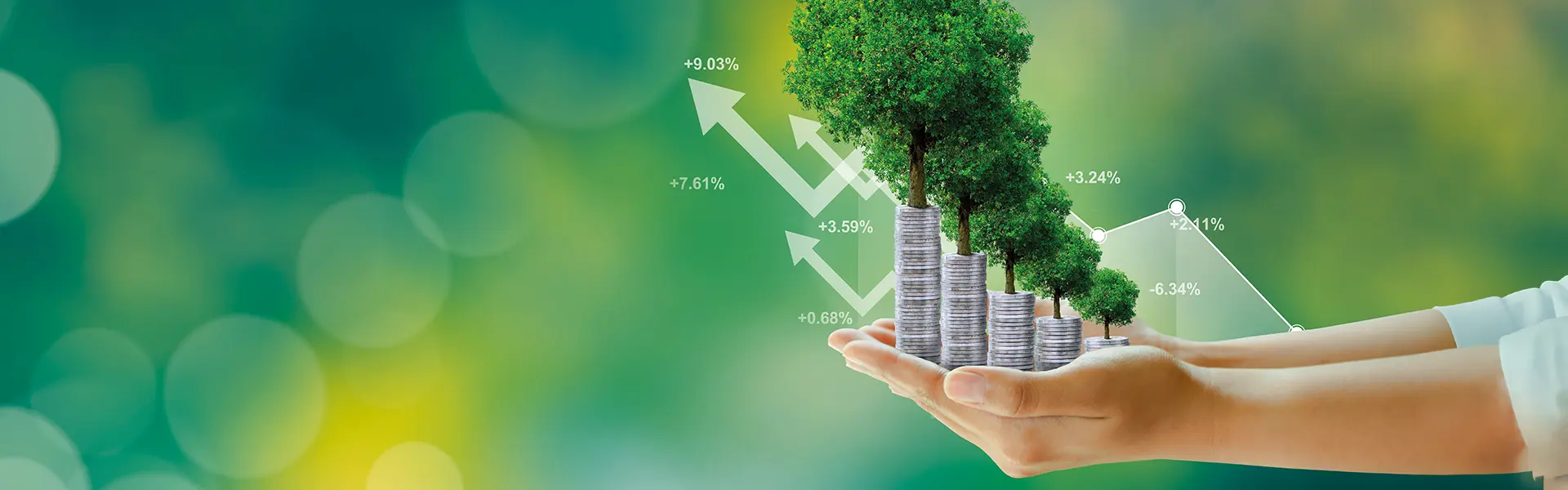 Regulamentação de políticas sobre o clima  abre novas oportunidades de negócios