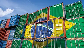 Lei da UE contra desmatamento ameaça exportações de 2024