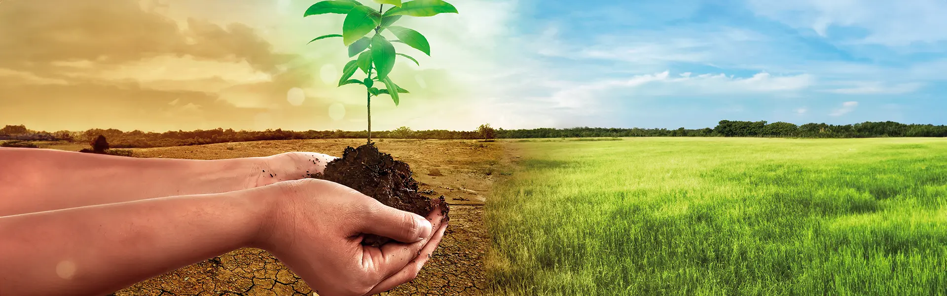 MUDANÇAS CLIMÁTICAS AUMENTAM A PROLIFERAÇÃO DE DOENÇAS VIRAIS