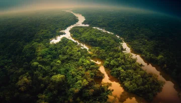 Casa do Seguro: posicionamento do setor na conferência do clima