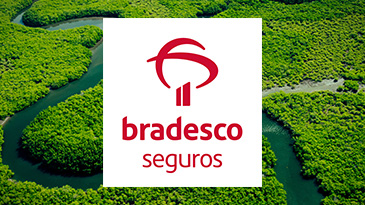 Seguro e mudanças climáticas: como proteger, incluir e transformar